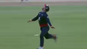 Everything to know about cricket’s explosion in Texas