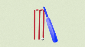 Washington Freedom brings cricket frenzy to D.C.