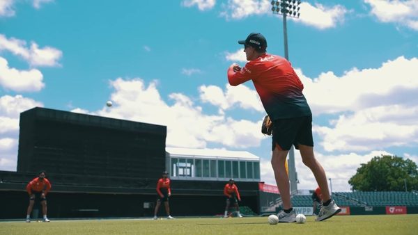 asmr-more-like-cricket-therapy.Click to read full article.