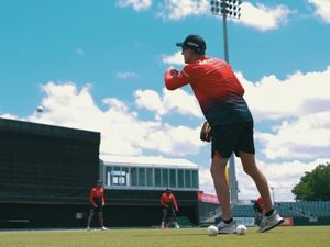 asmr-more-like-cricket-therapy.Click to read full article.